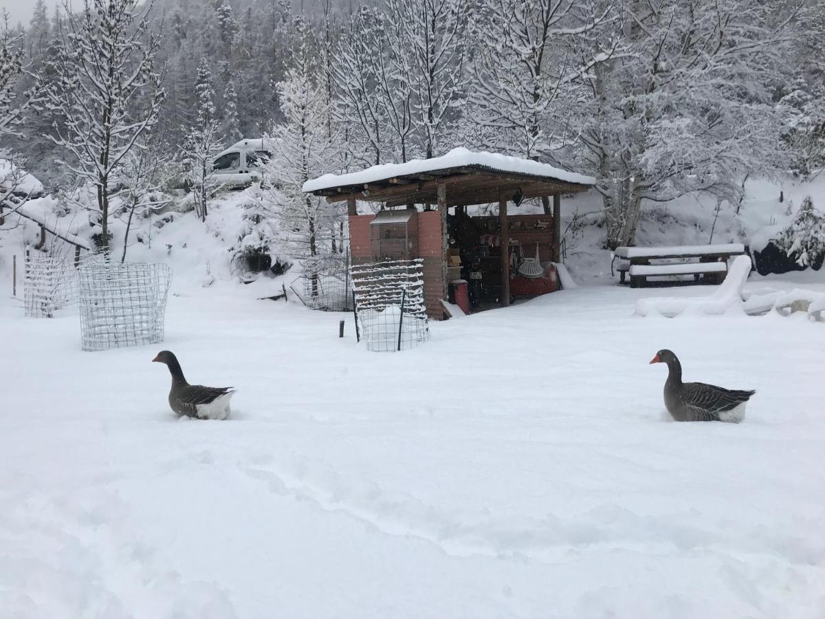 Saint-Étienne-de-TinéeLa Cerisoleアパートメント エクステリア 写真